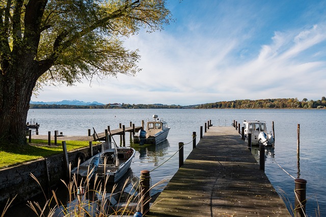 对比案例分 对比案例分