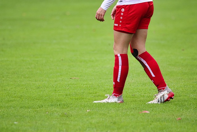 赢得了进入 赢得了进入