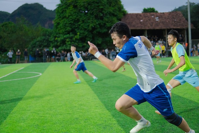 是一项备受 是一项备受