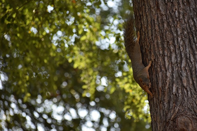 比赛最后时 比赛最后时