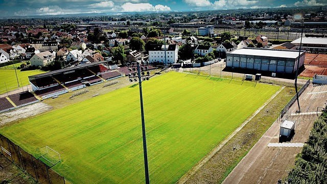 调整的成功 调整的成功