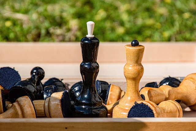 的最高舞台 的最高舞台